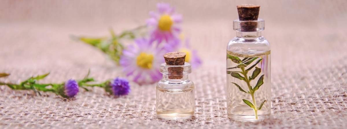 How Is Oud Oil Extracted and Made? Essential oil bottles with natural plant ingredients and flowers